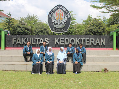 Sejarah, Kurikulum, dan Mata Kuliah Kedokteran di Universitas Diponegoro